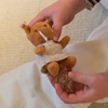 De handjes van een kind houden Mevrouw Eekhoorn vast.